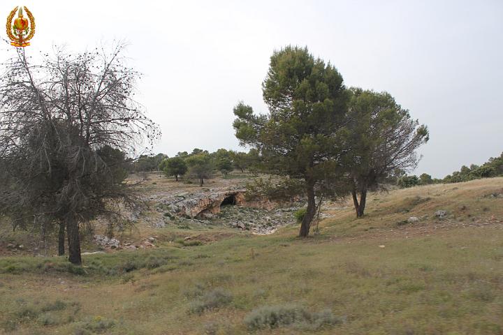 Imagen 246.jpg